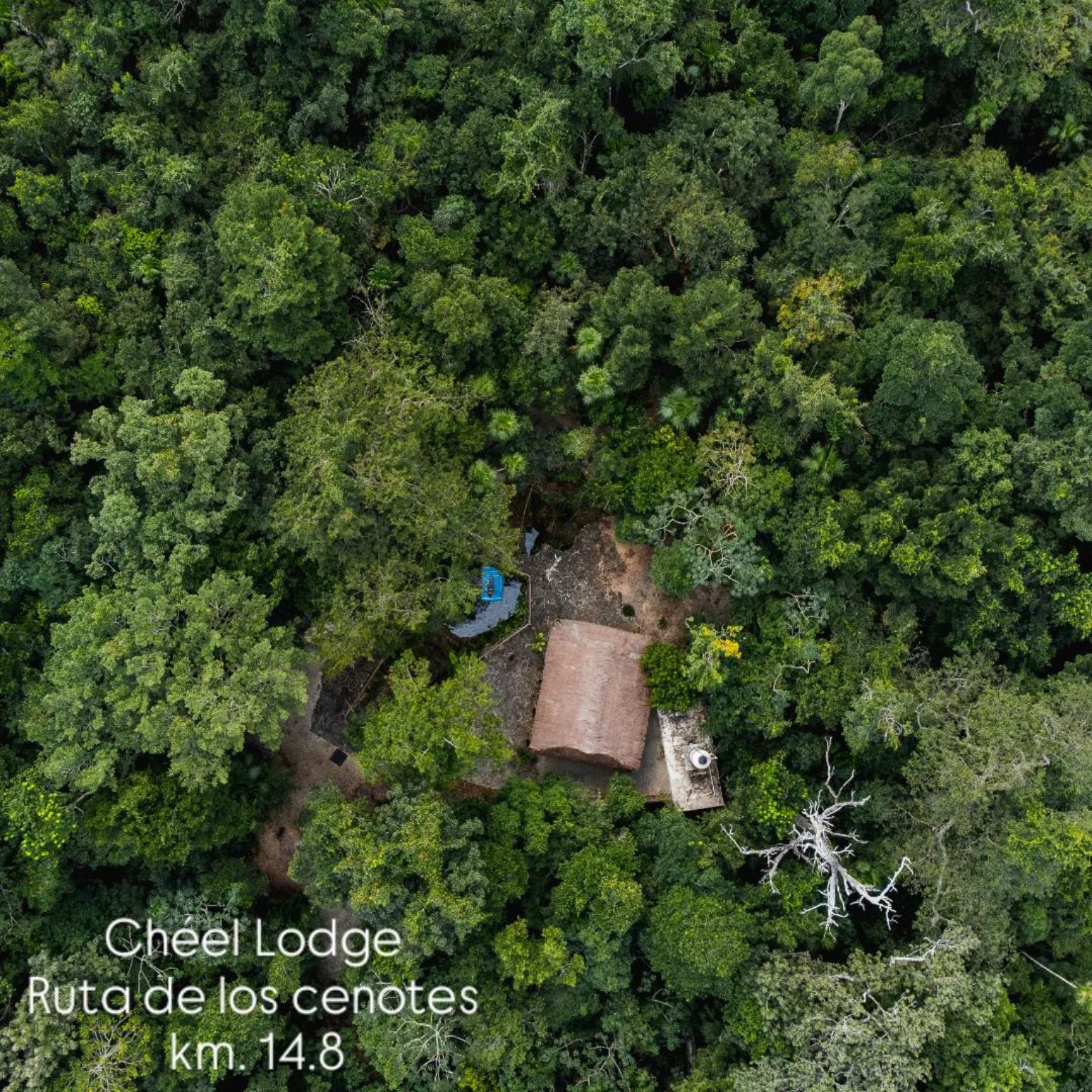 Vista aérea de Chéel Lodge entre la selva