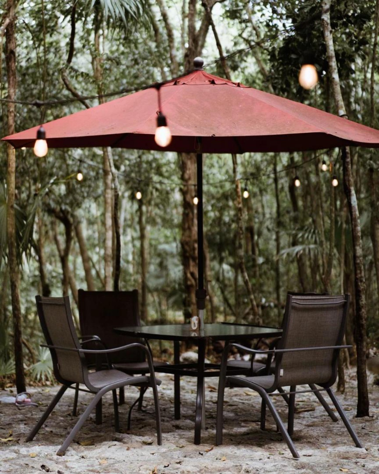 Terraza con mesa y sillas bajo los árboles